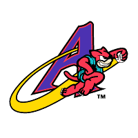 Akron Aeros