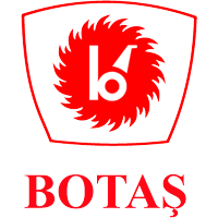 Botas