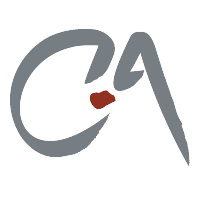 CA Communication