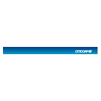 Citicorp