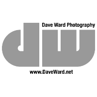 Dave Ward Photography