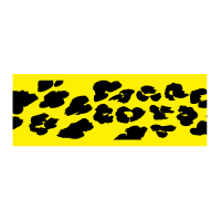 Festival Internazionale del Film di Locarno