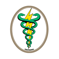 Fisioterapia