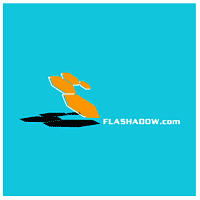 Flash Shadow
