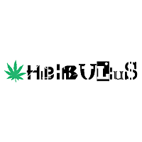 Hibibulius