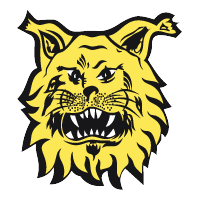 Ilves Tampere