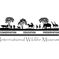 International Wildlife Museum