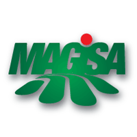 Magisa