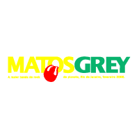 Descargar Matos Grey A Big Bang Tour