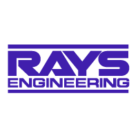 Rays Engineering
