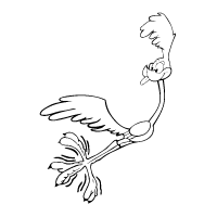 Road Runner