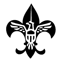 Descargar Scouting USA