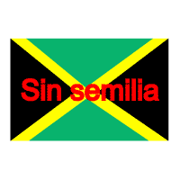 Sin Semilia