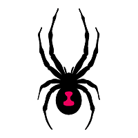 Spyder