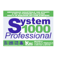 System 1000