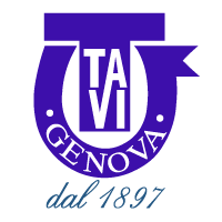 Tavi