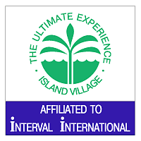 The Ultimate Experience