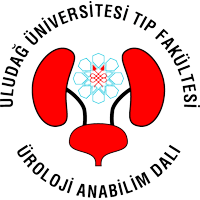 uludag uroloji