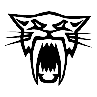 ARTIC CAT HEAD