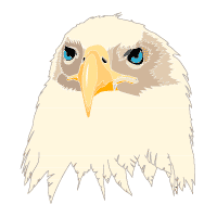 Download Aguia Eagle
