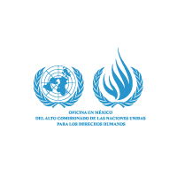 Alto Comisionado Derechos Humanos
