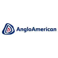 Anglo American - 2013