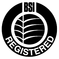 BSI