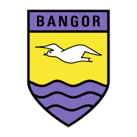 Download Bangor FC