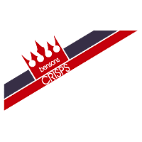 Bensons Crisps