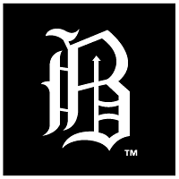 Birmingham Barons