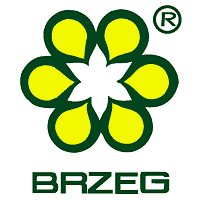 Brzeg