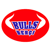 Bulls Bergi