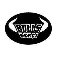 Bulls Bergi
