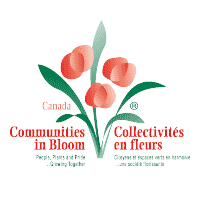 Communities in Bloom