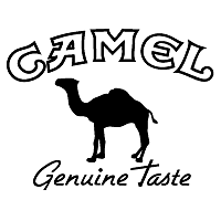 CAMEL cigarettes