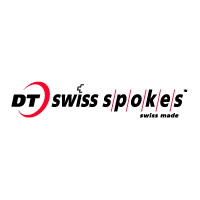 DT Swiss Spokes