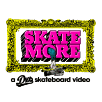 DVS Skate More