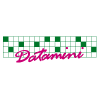 Datamini