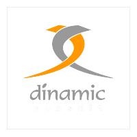 Dinamic Consult