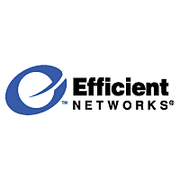 Efficient Networks