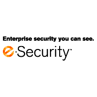 e-Security
