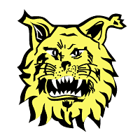 Footbal Club Ilves de Tampere