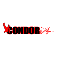 Hoffman Bikes Condor
