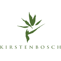 Kirsten Bosch