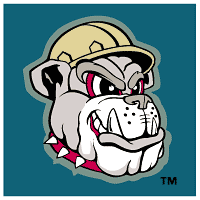 Mahoning Valley Scrappers