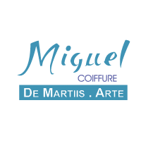Miguel Coiffure   De Martiis.Arte
