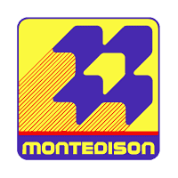 Download Montedison