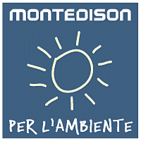 Montedison