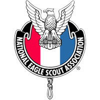 Download NESA National Eagle Scout Association logo