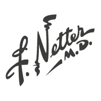 Netter M.D.